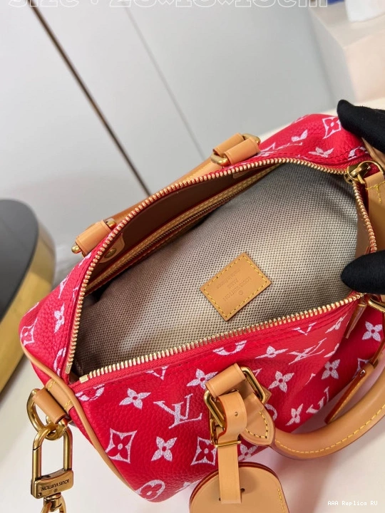 Aaa replica bags SPEEDY Vuitton Louis 25 0729